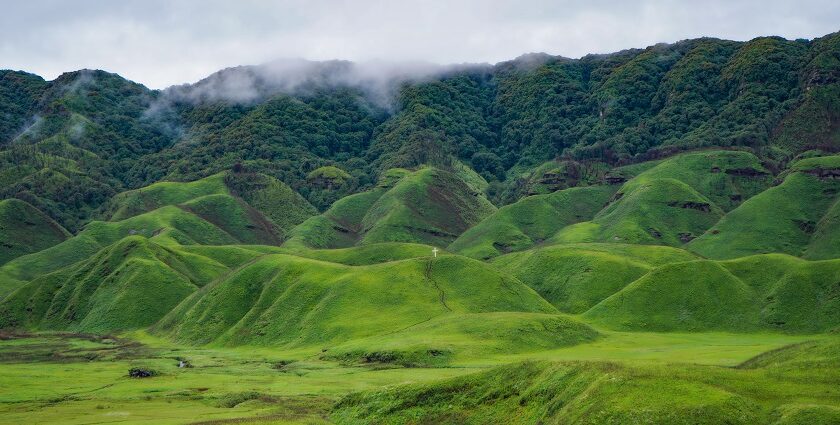 The Dzukou Valley travel guide highlights the panoramic view of the valley with lush greenery