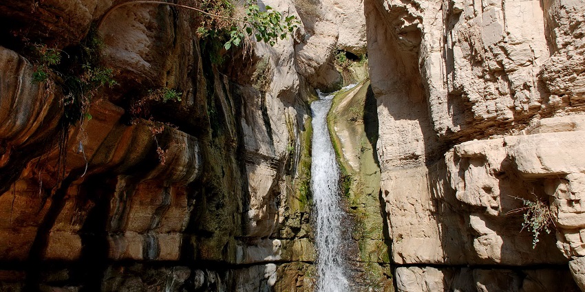 Oasis with lush vegetation, waterfalls, and hiking trails near the Dead Sea.