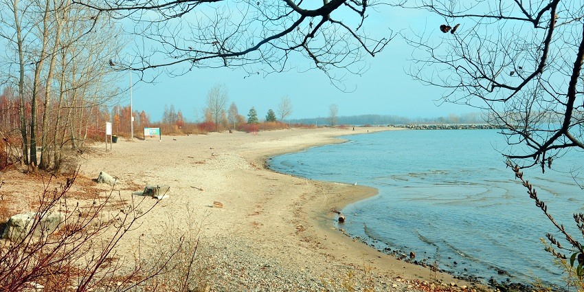 The Ward Beach of Toronto Island showcasing the beach sand and a clear blue sea water