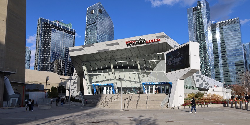 Outside view of Ripley’s Aquarium of Canada featuring the signboard and stairs leading to the entrance
