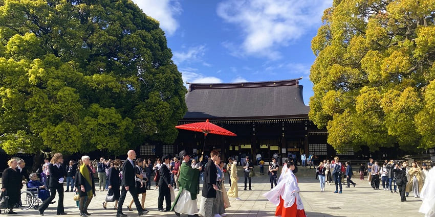 One of the best things to do in Tokyo is Peaceful Shinto shrine surrounded by lush forest.