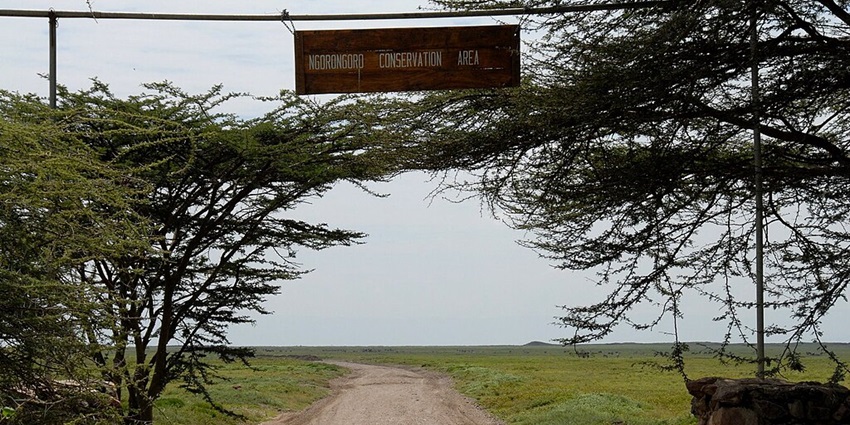 A sandy road in the Ngorongoro conservation area with a sign board hanging on poles.