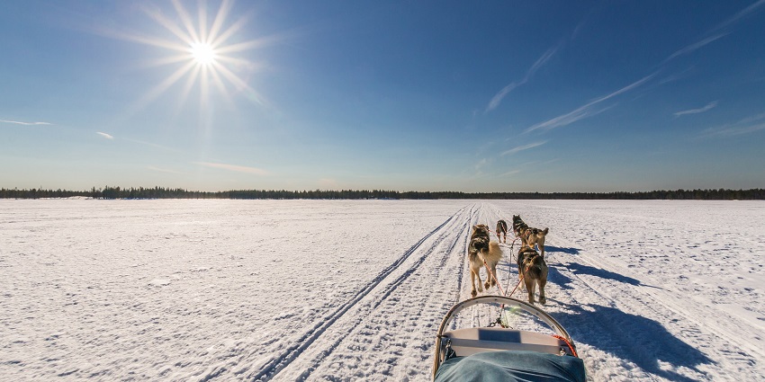 Dog sledging in the snowy land and the bright sun shining in the clear blue sky