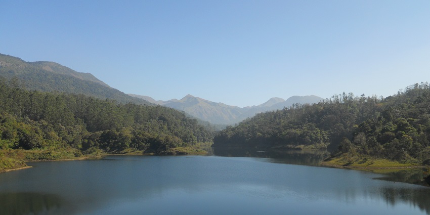 A calm view of Kodaikanal's serene lake surrounded by lush greenery.