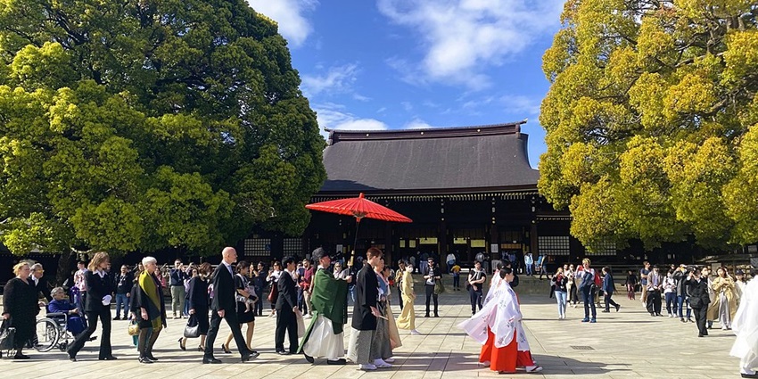 Meiji Jingu Shrine surrounded by vibrant autumn leaves, a must-see among things to do in Tokyo in November.