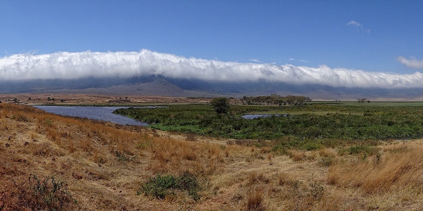 A view of the Ngorongoro Conservation Area from Ngorongoro Crater’s bottom in Tanzania.