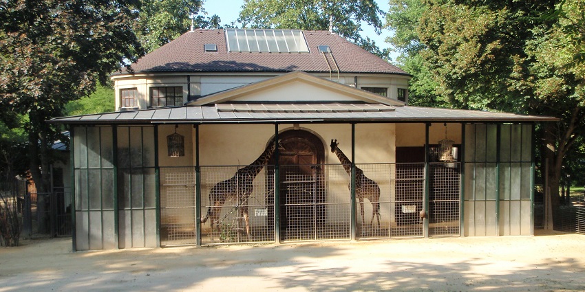 A tour around the Basel Zoo is one of the amazing things to do in Basel, Switzerland.