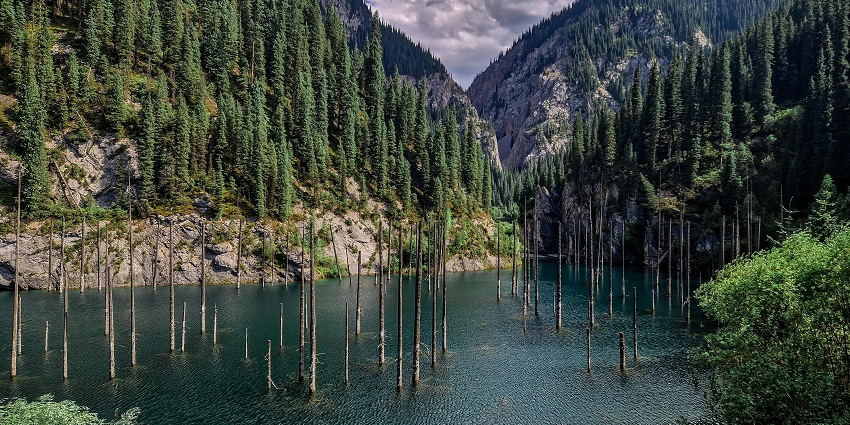 A view of surreal sunken forest lake surrounded by pristine natural magnificence.