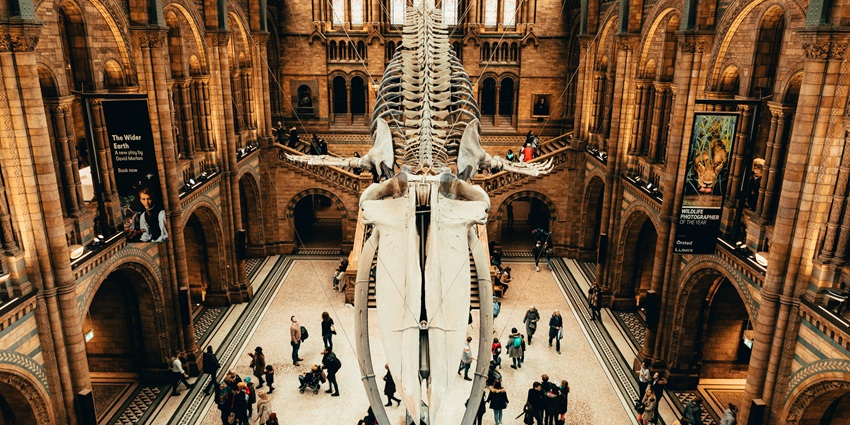 An image of the interior of the British Museum, a remarkable thing to see in England.