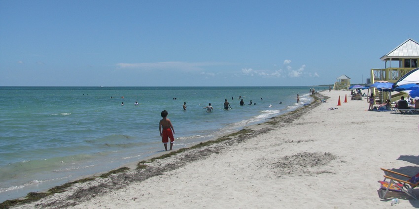Exploring the Crandon Park Beach is one of the best things to do in Miami in October
