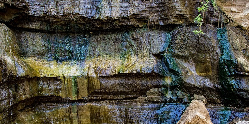 Close-up of Hells Gate National Park gorge with vibrant, colourful wet stones and a green leaf stem.