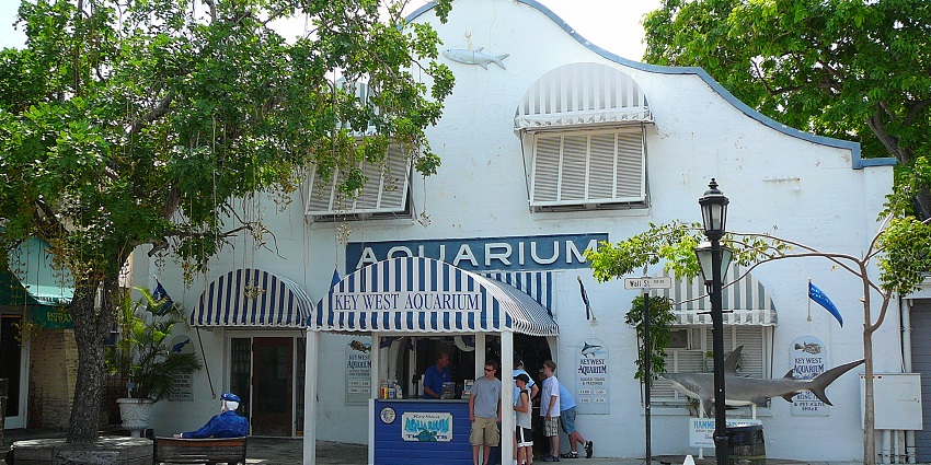 A shark replica greets visitors, one of the best things to do in Key West Florida in October.