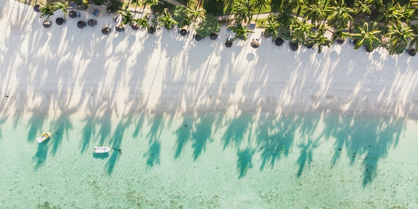 An aerial view of the beach showcasing the greenery, sand, and the clear water body.