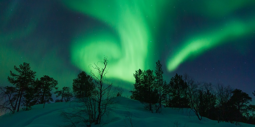 Vibrant northern lights are visible at night from the area covered in snow and trees.