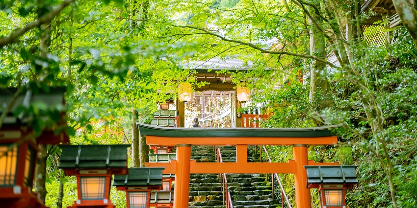 Serene bamboo groves near Fushimi Inari Shrine, offering tranquillity.