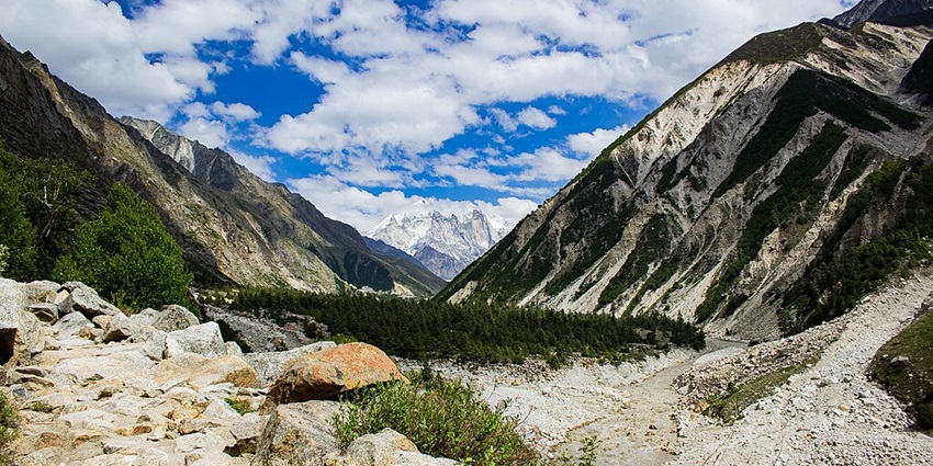 Gangotri National Park has rugged geographies, offering countless possibilities for trekking.