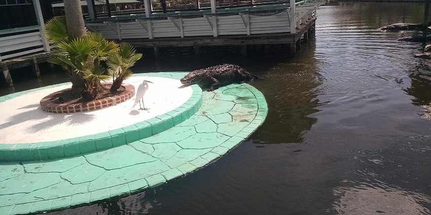 A gator trying to come up from the water pond on the floor with a bird paper cutting