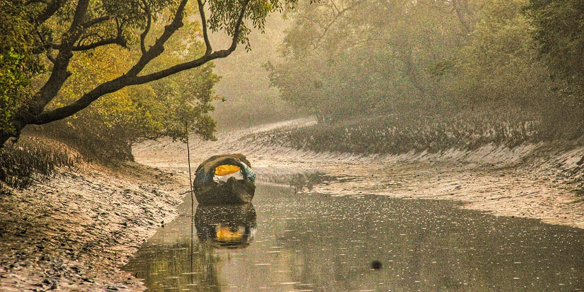 Snapshot of the Sundarbans which is the largest main group forest in the world.