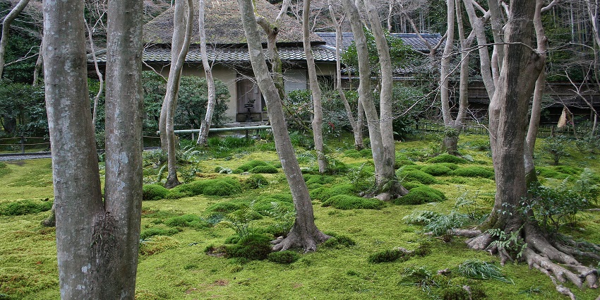 Tranquil Zen temple surrounded by moss-covered grounds is among the best places to visit in Kyoto.