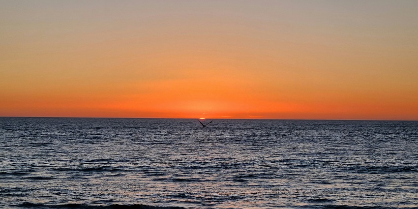 Glenelg city guide assures sandy shores, turquoise waters, and a lively boardwalk.