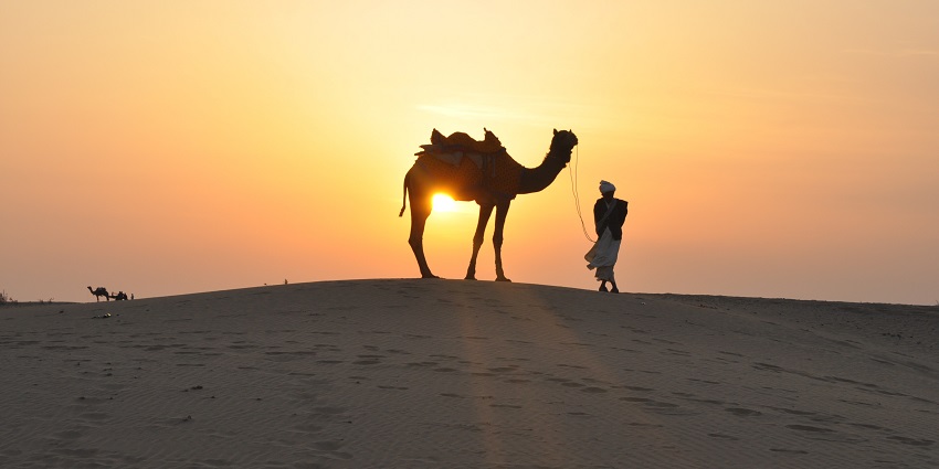 Thrilling desert adventure with dune bashing and camel rides.
