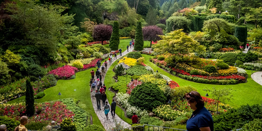 Butchart gardens with people visiting, different kinds of flowers and covered in greenery