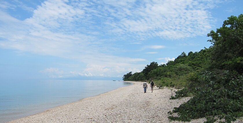 Snapshot of the beautiful Gombe National Park and its pristine lake view