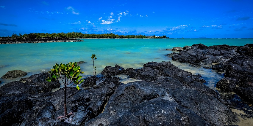 Some people are enjoying the ocean water and others are relaxing at the shoreside.