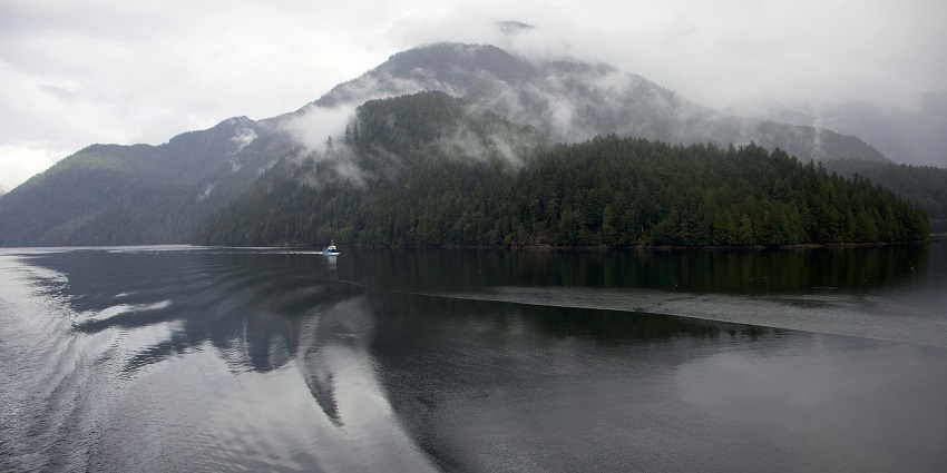 Image of a kayaker in waters of Great Bear Rainforest, a place for Kayaking in Canada.