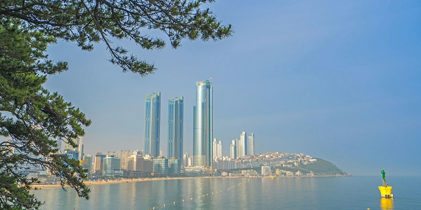 Haeundae Beach offers stunning views, golden sand, and a vibrant atmosphere.