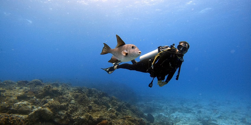 The remote archipelago is known for clear waters, and wildlife.