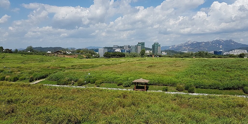 Lush greenery, tall grass fields, and panoramic Seoul cityscape views.