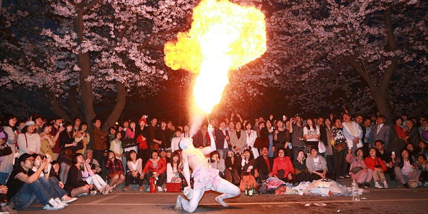 The colorful Hangang Yeouido Spring Flower Festival showcasing a fire show, is among the famous places to visit in Seoul in March.