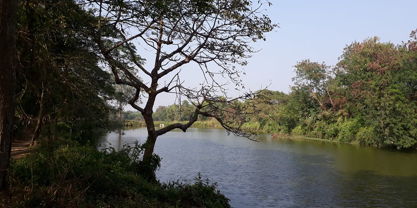 Experience rural life and fresh dairy delights at Haringhata, just a short trip away