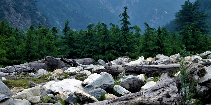 Harsil Village has picturesque vistas with breathtaking views.