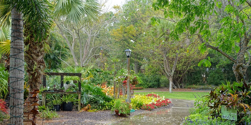Rainy day view over the lake at Heathcote Botanical Gardens, a popular destination near Fort Pierce.