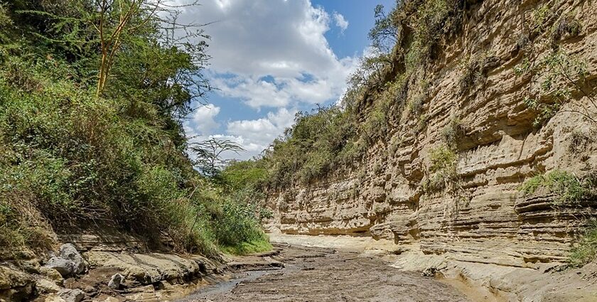 Hells Gate National Park with greenery and tall distant mountains.