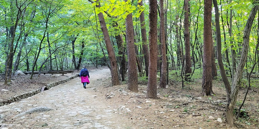 Scenic hike trail at Seoraksan National Park with stunning stunning surroundings.