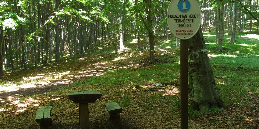 A view of Bukk National Park, perfect for hiking, one of the best things to do in Hungary.