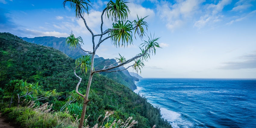 A scenic view of the Pacific Ocean from the Kalalau Trail on Kauai in Hawaii.