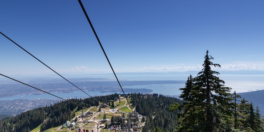 View of people enjoying on a cable car surrounded by tall trees and lush greenery.