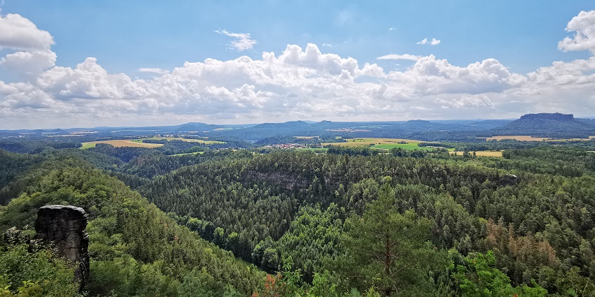 An image which is taken from the top and gives the dense forest vibe, a place for hiking.