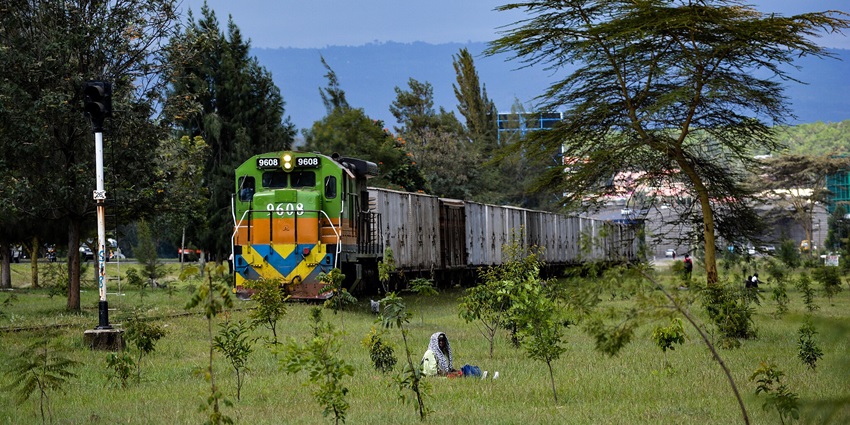 Train passing through Nakuru town, surrounded by greenery and things lying on the grass