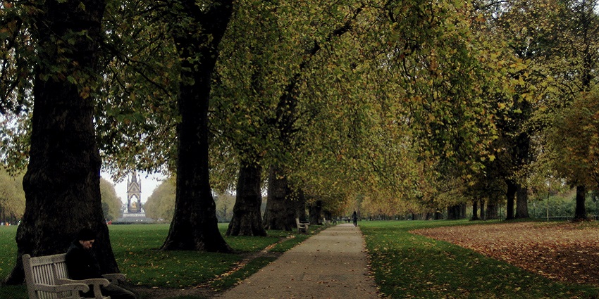 An image of Hyde Park in Central London
