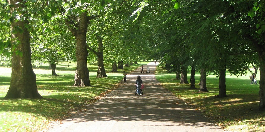 An image showing greenery in Hyde Park, an attraction near Science Museum London.