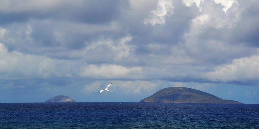 Stunning pictures of two islands and a beautiful bird flying in the northern islet of Mauritius.