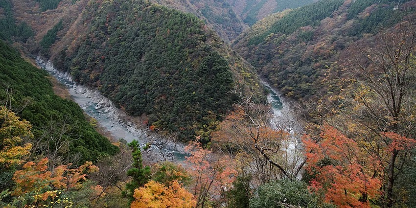 Iya Valley showcases vibrant fall colours, making it one of the best places to visit in Japan during October.