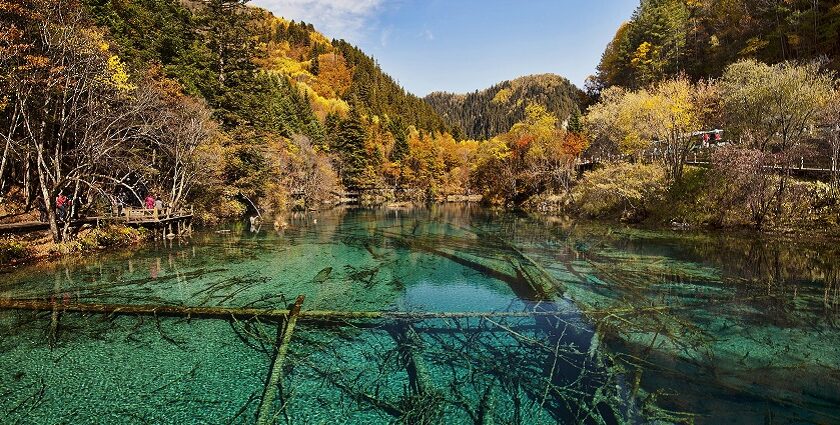 Enter a realm of nature wonderland with the popular Jiuzhai Valley National Park in China.