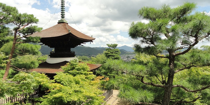 Peaceful temple surrounded by vibrant fall foliage and historic architecture.