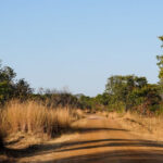 The south main road that leads to the entrance of the Kafue National Park in Zambia